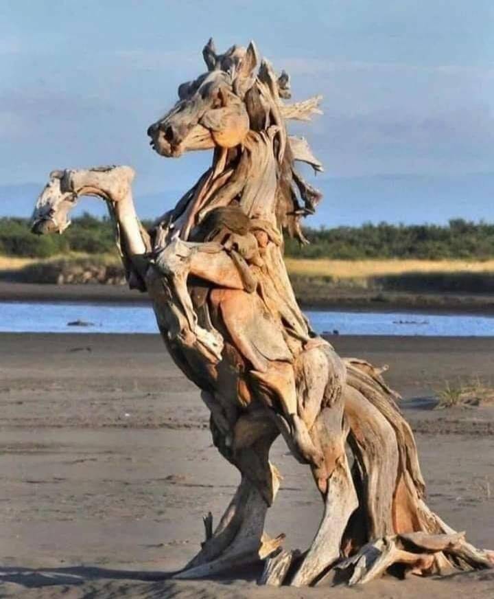 driftwood horse sculpture