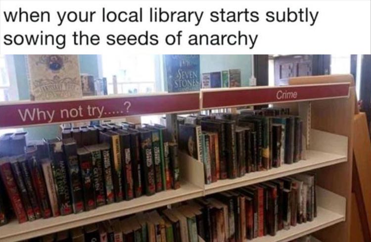 public library - when your local library starts subtly sowing the seeds of anarchy Seven Stones Crime Why not try.....? Vini 3DS