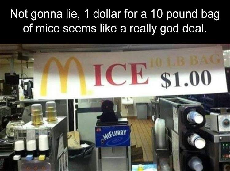 advertising bad typography - Not gonna lie, 1 dollar for a 10 pound bag of mice seems a really god deal. 10 Lb Bac Ice $1.00 Mcflurry