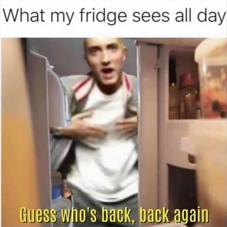 latest memes - What my fridge sees all day Guess who's back, back again