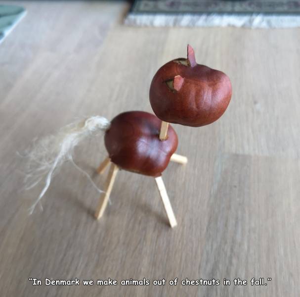 funny pics - in denmark we make animals out of chestnuts in the fall