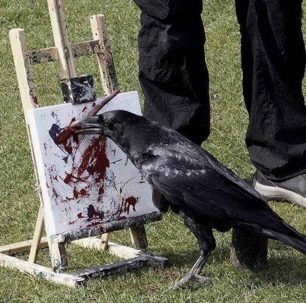 crow art