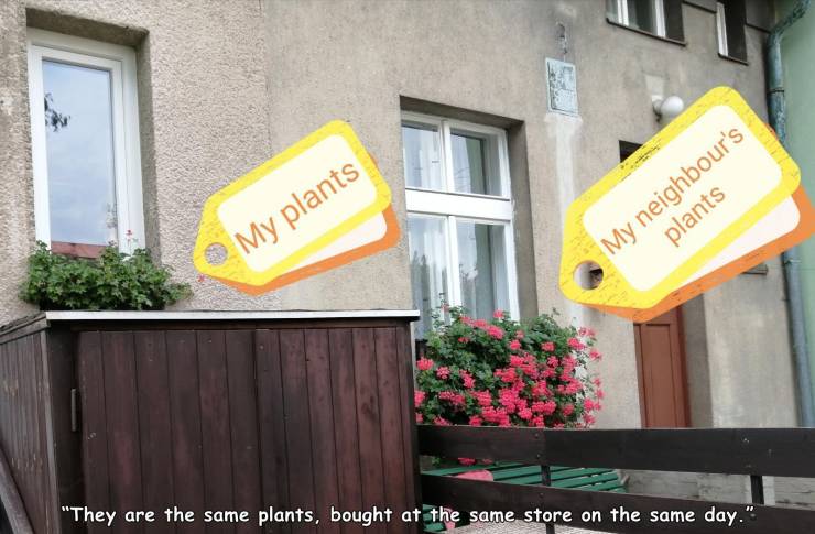 funny random pics - street sign - My plants My neighbour's plants "They are the same plants, bought at the same store on the same day."