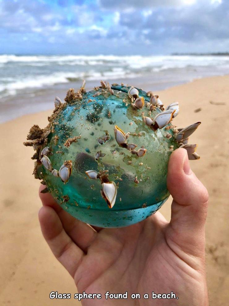 funny random pics - interesting things - Glass sphere found on a beach.
