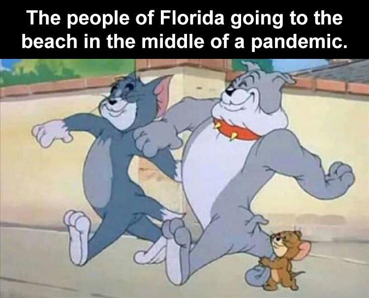 tom and jerry and spike meme template - The people of Florida going to the beach in the middle of a pandemic.