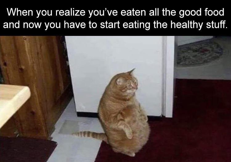2020 so far memes - When you realize you've eaten all the good food and now you have to start eating the healthy stuff.