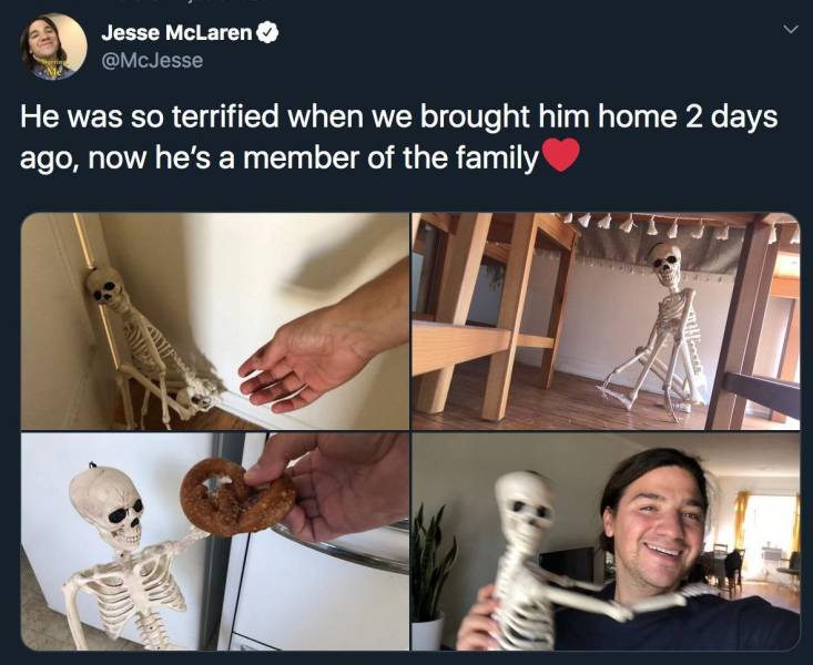 halloween dank memes - Jesse McLaren He was so terrified when we brought him home 2 days ago, now he's a member of the family Sy
