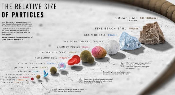 The Relative Size Of Particles Human Hair 50180 m For Scale Fine Beach Sand 90 m From the Covid19 pandemic to the U.. West Coast wildfires, some of the biggest threats now are also the most microscopic A particle needs to be 10 micrantur les before it can