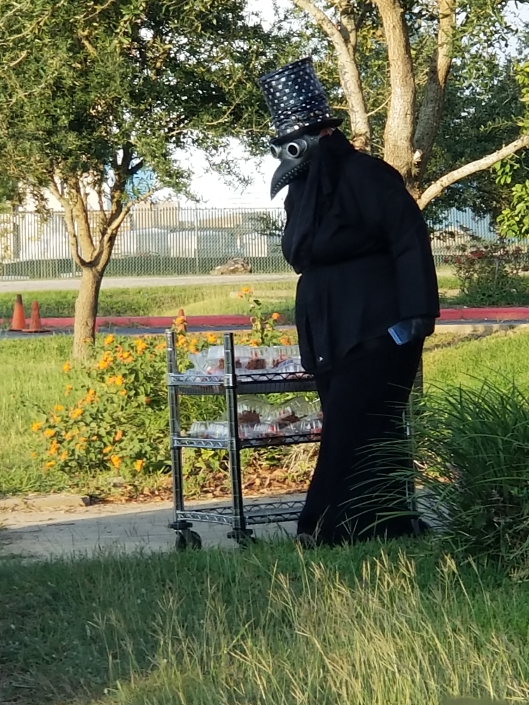 fascinating photos - guy wearing black mask and bird costume