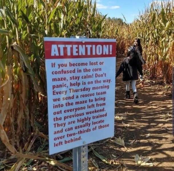 fascinating photos - Attention! If you become lost or confused in the corn maze, stay calm! Don't panic, help is on the way. Every Thursday morning we send a rescue team into the maze to bring out everyone left from the previous weekend. They are highly t