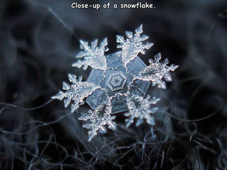 fascinating photos - macro photography of snowflakes - Closeup of a snowflake.