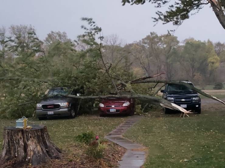 fascinating photos - three cars with tree limbs damaging them