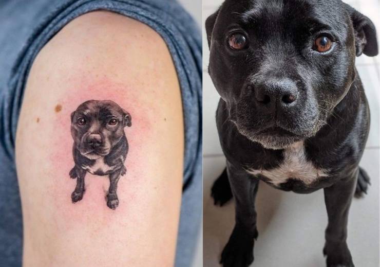 funny pics - hyper realistic dog tattoo