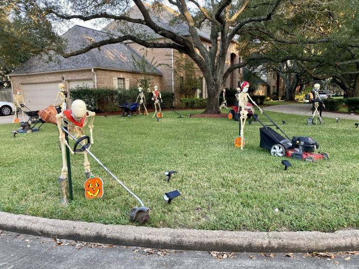 funny pics - skeletons mowing the lawn