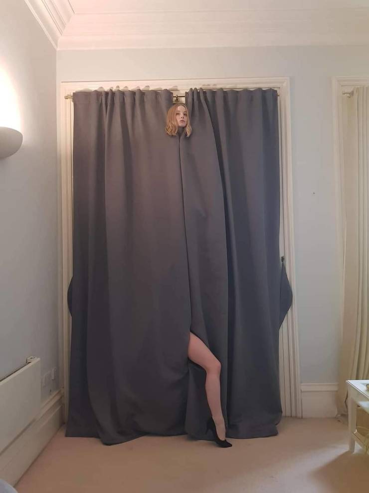 funny pics - woman's leg and dog's head poking out of curtain