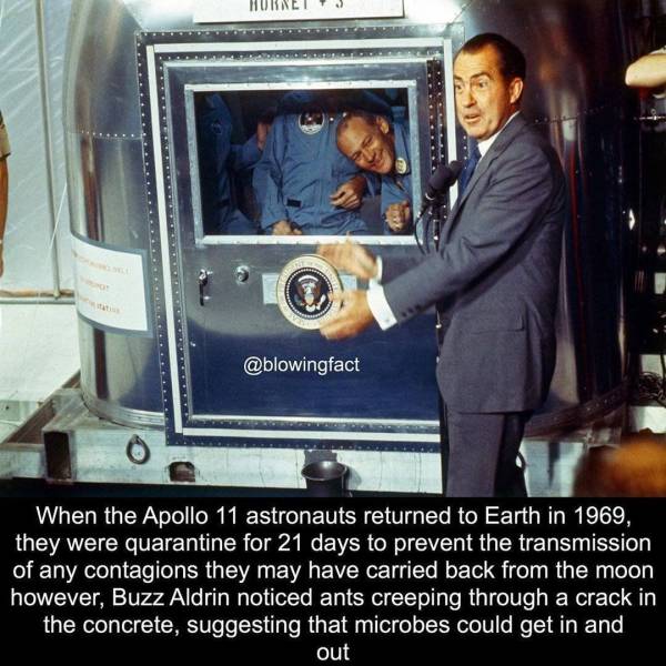 photo caption - ies When the Apollo 11 astronauts returned to Earth in 1969, they were quarantine for 21 days to prevent the transmission of any contagions they may have carried back from the moon however, Buzz Aldrin noticed ants creeping through a crack