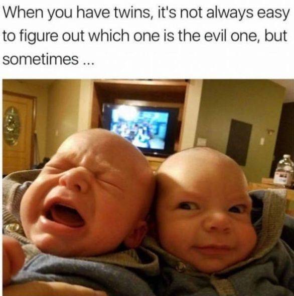 top 20 funniest - When you have twins, it's not always easy to figure out which one is the evil one, but sometimes ...
