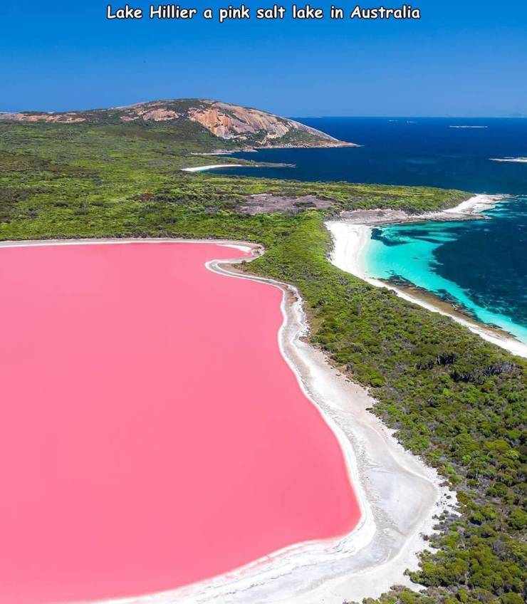 Lake Hillier a pink salt lake in Australia