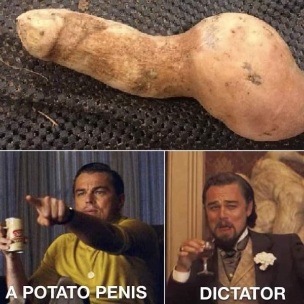 leonardo dicaprio viral meme - A Potato Penis Dictator