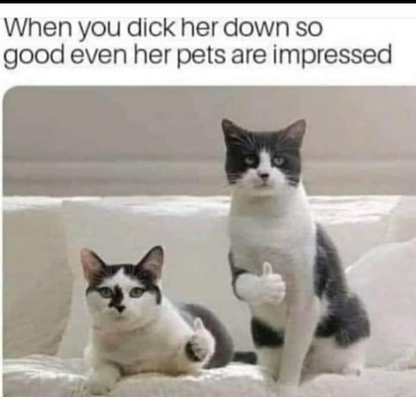 When you dick her down so good even her pets are impressed