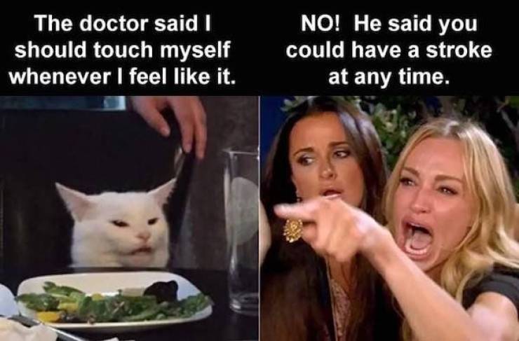 funniest smudge the cat memes - The doctor said I should touch myself whenever I feel it. No! He said you could have a stroke at any time.