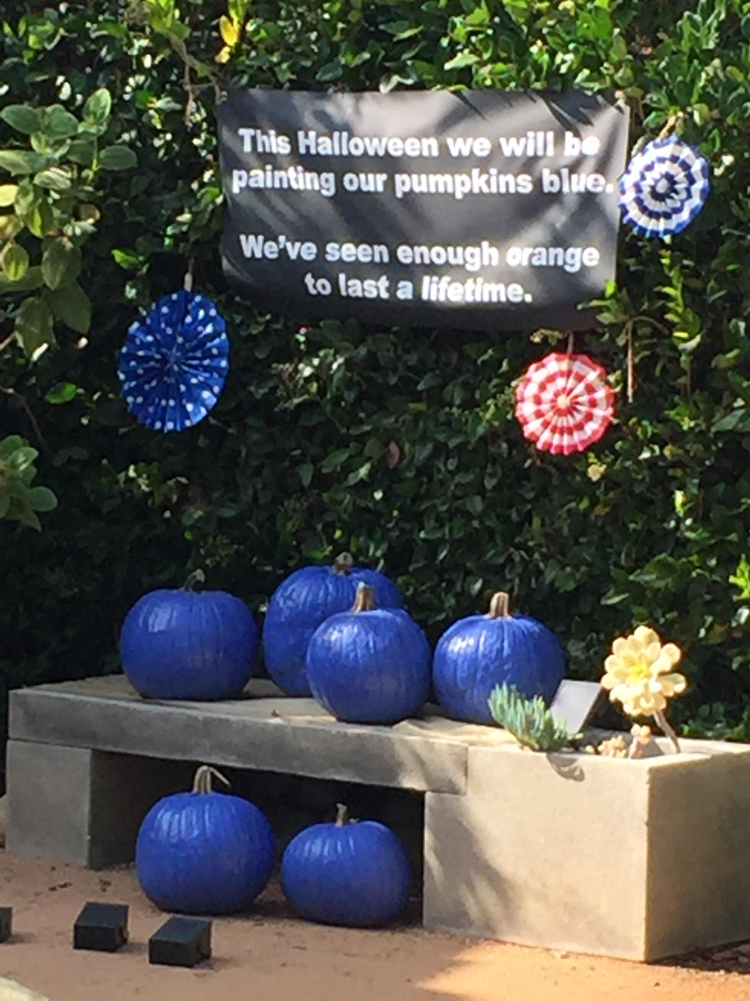 cobalt blue - This Halloween we will be painting our pumpkins blue We've seen enough orange to last a lifetime.