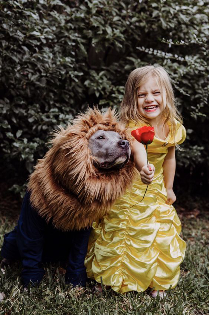 32 Creative And Cute Halloween Costumes For Pets