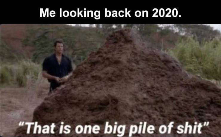 one big pile of shit - Me looking back on 2020. That is one big pile of shit