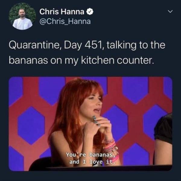 you re bananas and i love - Chris Hanna Quarantine, Day 451, talking to the bananas on my kitchen counter. You're bananas, and I love it.