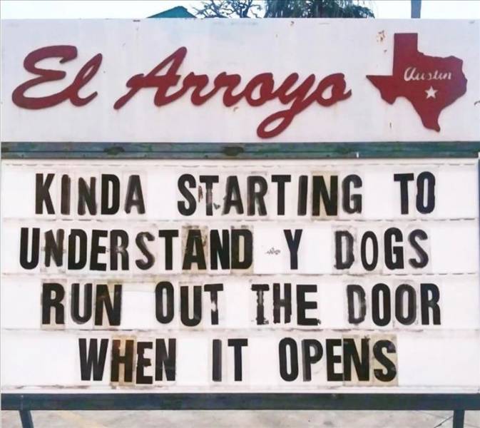 katy perry the platypus - El Arroyo Austen Kinda Starting To Understand Y Dogs Run Out The Door When It Opens