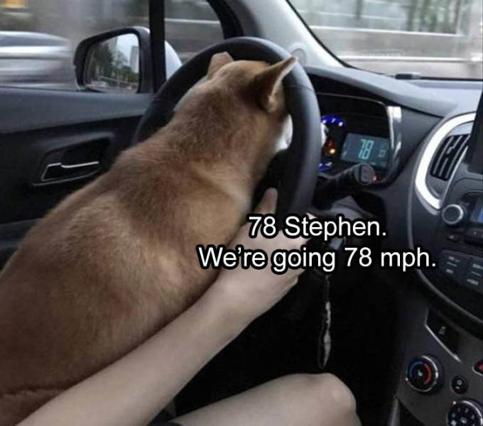 shibe vroom - 78 Stephen. We're going 78 mph.