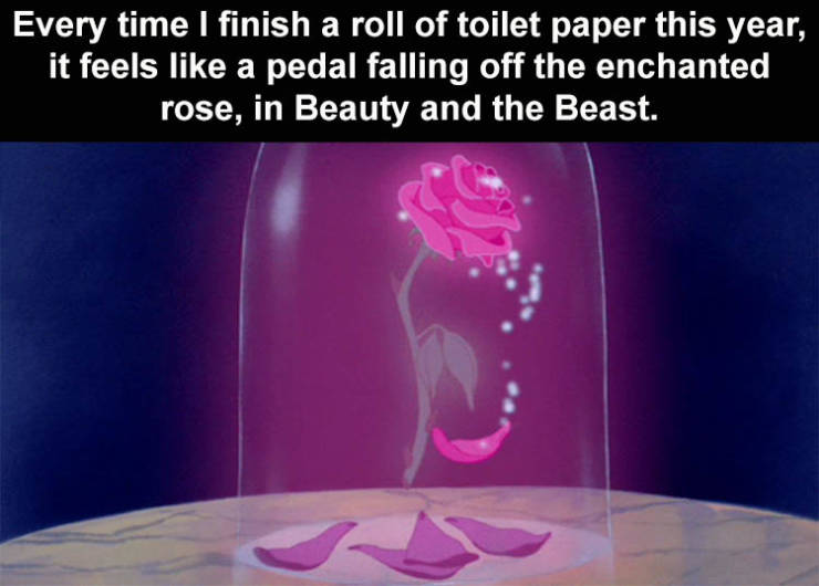 beauty and the beast rose funny - Every time I finish a roll of toilet paper this year, it feels a pedal falling off the enchanted rose, in Beauty and the Beast.