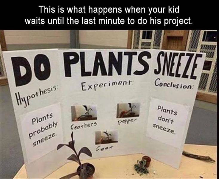 last minute project - This is what happens when your kid waits until the last minute to do his project. Do Plants Sneeze Experiment Conclusion Hypothesis Plants don't sneeze. Popper feathers Plants probably sneeze. Leer
