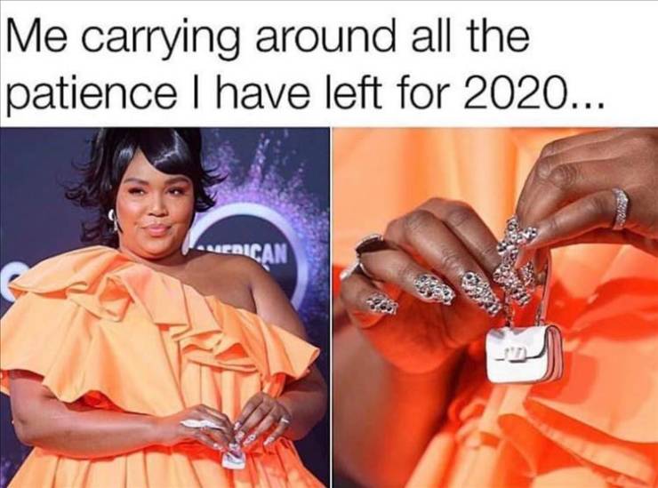 lizzo purse - Me carrying around all the patience I have left for 2020... Merican