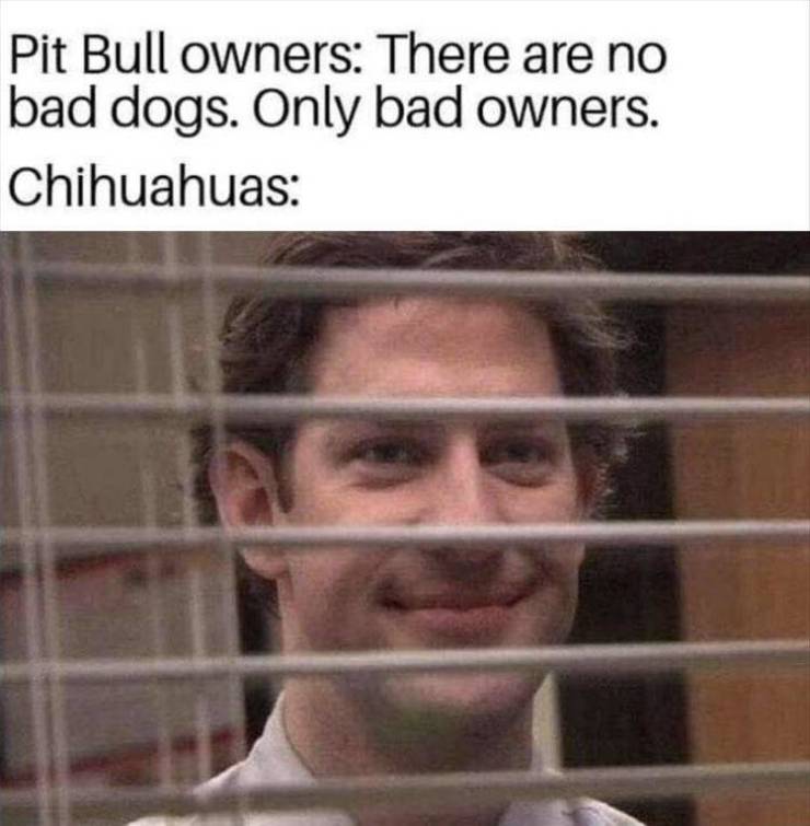 warzone memes - Pit Bull owners There are no bad dogs. Only bad owners. Chihuahuas