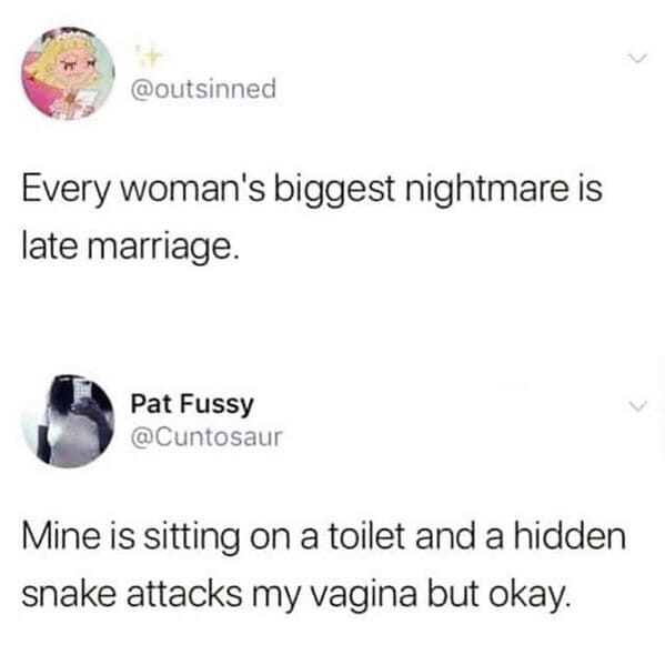 im a vegan but i eat meat meme - Every woman's biggest nightmare is late marriage. Pat Fussy Mine is sitting on a toilet and a hidden snake attacks my vagina but okay.