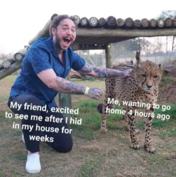 post malone with a cheetah - Me, wanting to go home 4 hours ago My friend, excited to see me after I hid in my house for weeks