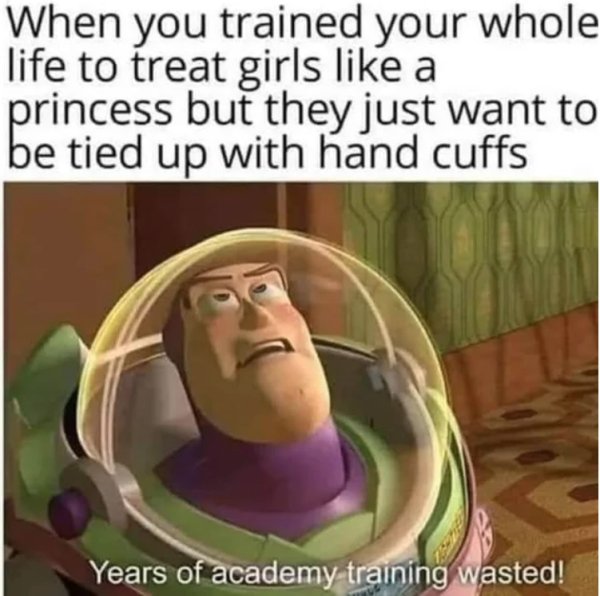 lost my job memes - When you trained your whole life to treat girls a princess but they just want to be tied up with hand cuffs Years of academy training wasted!