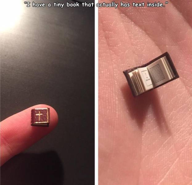cool random pics - nail - "I have a tiny book that actually has text inside."