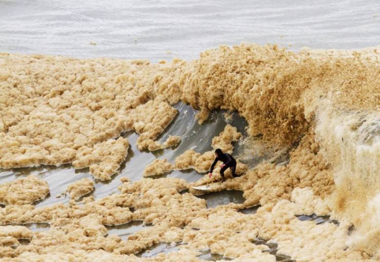 cool random pics - shit beach