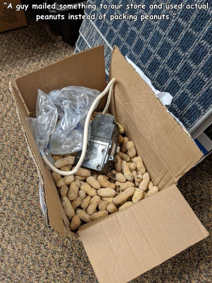 cool random pics - wood - "A guy mailed something to our store and used actual peanuts instead of packing peanuts.
