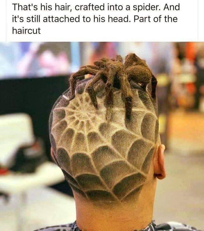 cool random pics - worst trims ever - That's his hair, crafted into a spider. And it's still attached to his head. Part of the haircut