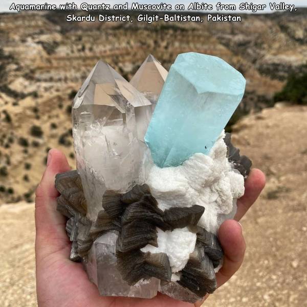 crystal - Aquamarine with Quartz and Muscovite on Albite from Shigar Valley. Skardu District, GilgitBaltistan, Pakistan