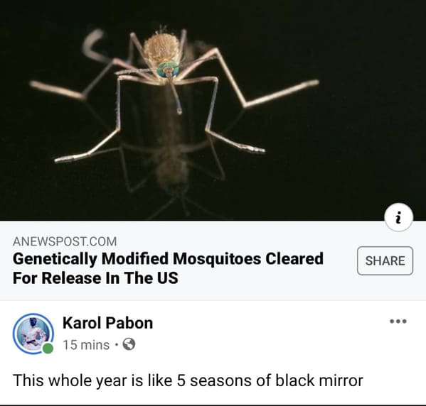 insect - In i Anewspost.Com Genetically Modified Mosquitoes Cleared For Release In The Us Karol Pabon 15 mins. This whole year is 5 seasons of black mirror