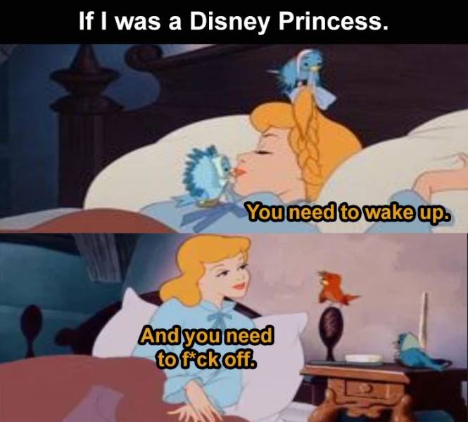 cinderella - If I was a Disney Princess. You need to wake up. And you need to fck off