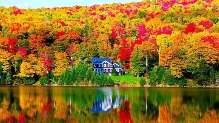 random pics and cool photos - maine in the fall