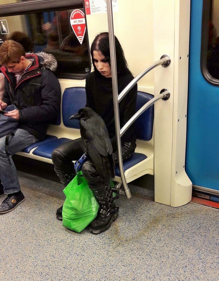 random pics and cool photos - goth raven subway - MT_FREE