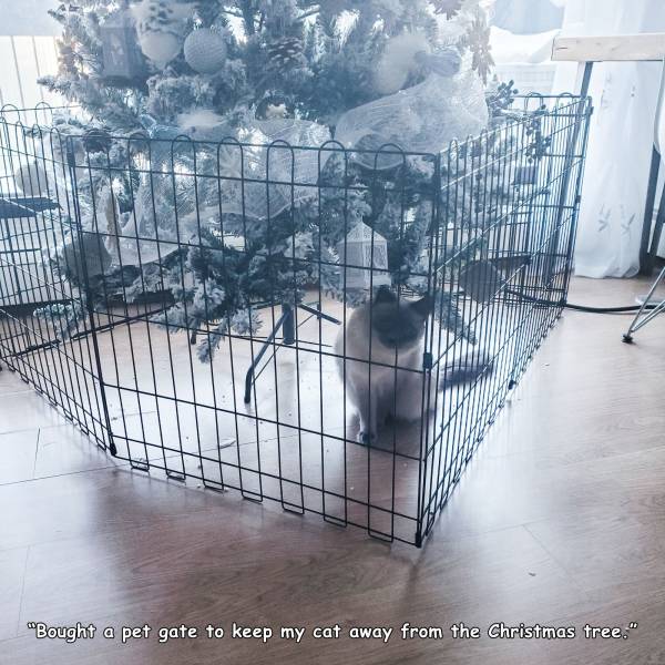 pet - "Bought a pet gate to keep my cat away from the Christmas tree."
