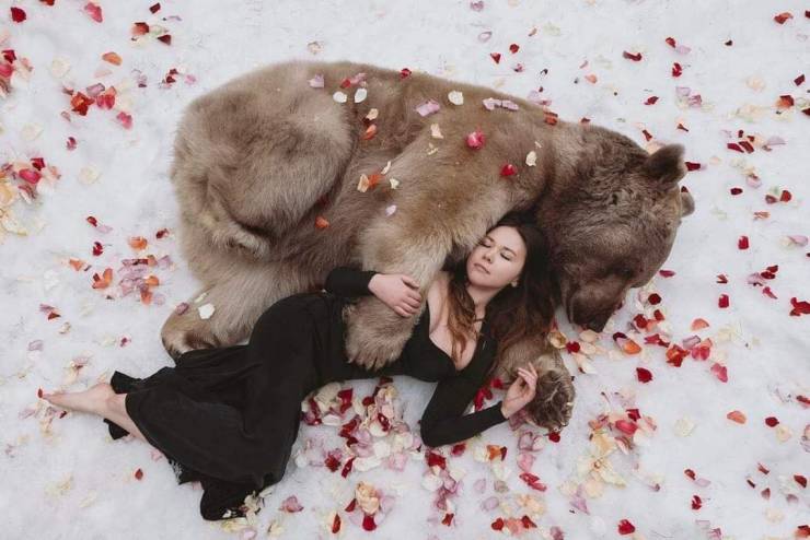 russian bear modeling