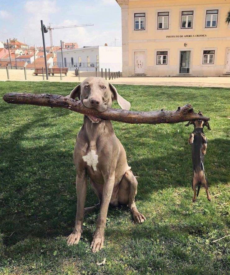 funny random pics - branch manager and assistant branch manager